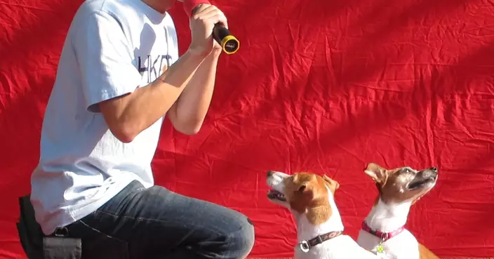 你真正在獎勵你的狗嗎？