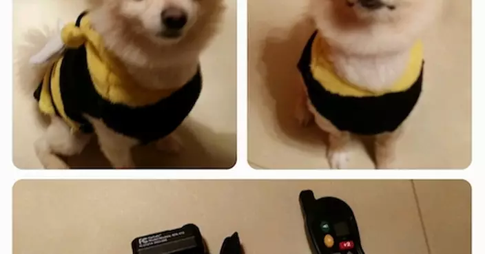 攻擊行為真的沒辦法改變嗎？