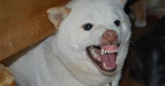 說服力不是單靠講說話