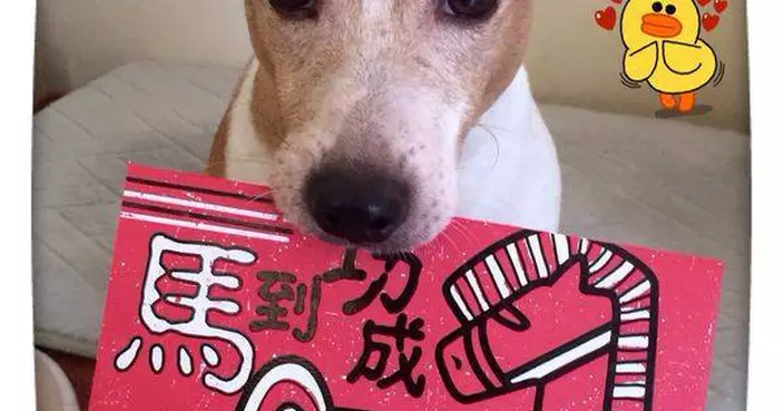 新年快樂，馬到功成！