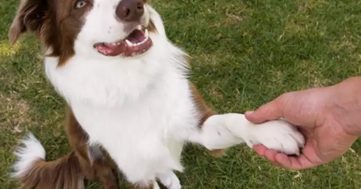 握手力度定輸贏