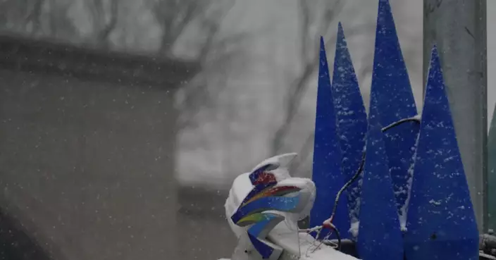 多圖直擊｜京城再飄雪，此刻他們在雪中行