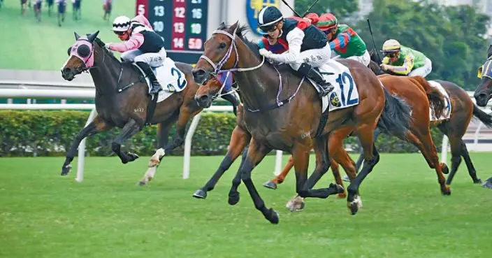 仲達 - 競駿翩翩  相對穩健｜頭號目標