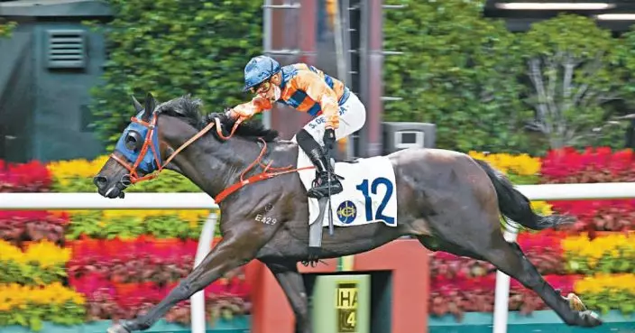 B女靚馬——鼓浪精綵收復前失