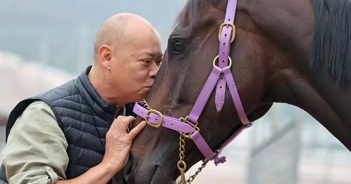 蘇偉賢冀「新力高升」圓打吡夢 十年見證港賽馬受國際認可