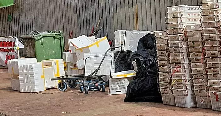 發泡膠箱重現街頭 業界批政府靠送內地無長遠配套回收規劃