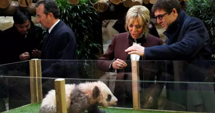 動物園園長隨馬克龍訪華 冀能續租大熊貓「歡歡」「圓仔」