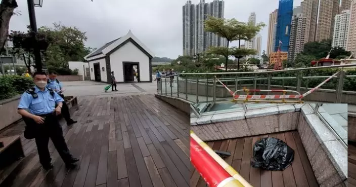 香港仔海濱公園驚現半米大蟒蛇 職員出鐵鈎生擒