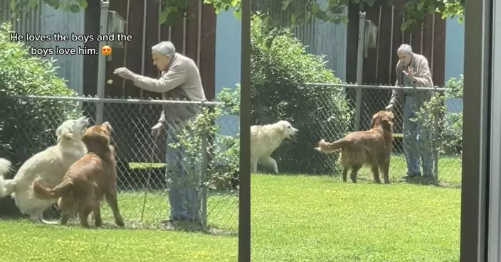 熱情狗狗同鄰居做好朋友 94歲爺爺日日帶小零食去花園報到