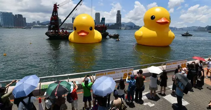 「洩氣」橡皮鴨充氣維港再展出 大批市民到場打卡