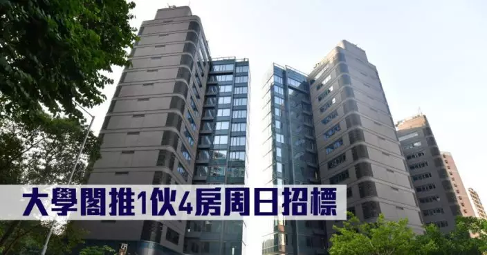 熱辣新盤放送｜大學閣推1伙4房周日招標