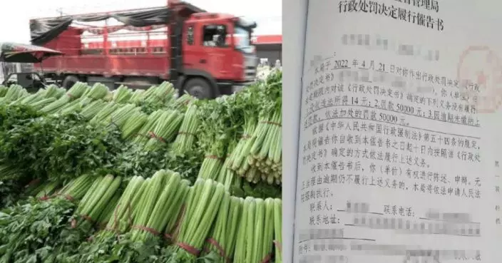 貪便宜賣含農藥芹菜賺14元 福州老農被罰10萬人民幣