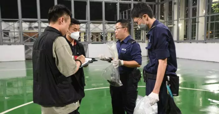 柴灣遊樂場兩斑鳩疑遭虐待亡  警列殘酷虐待動物跟進