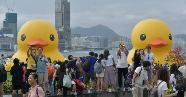 巨型黃鴨展覽最後一天 市民冒雨到添馬公園打卡