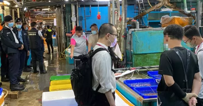香港仔魚市場涉合謀定價  李彩華稱壟斷已久打擊似做騷