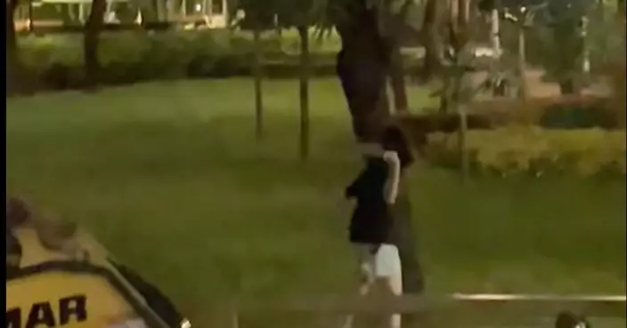 情困女子上水持菜刀狂劈公園樹 涉「藏有攻擊性武器」被拘捕