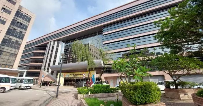 風暴樺加沙 | 62人風暴期間受傷 共437宗塌樹報告