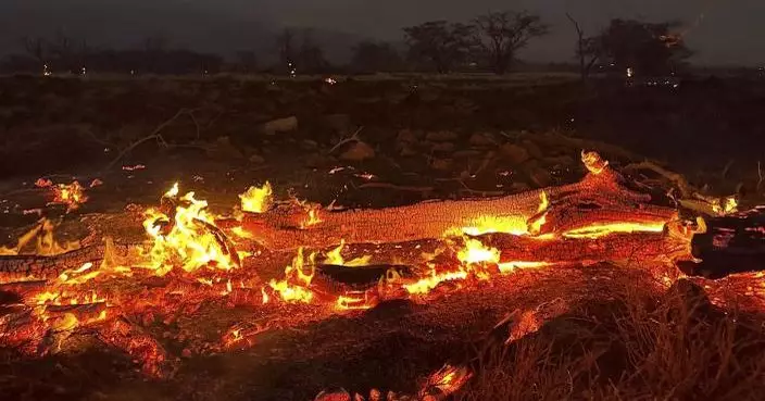 夏威夷州山火增至67死 成當地最致命自然災害