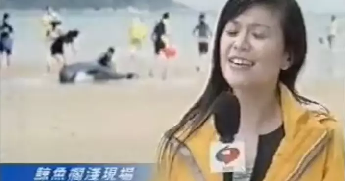 17年前廣告神預測「西貢鯨魚浮屍事件」網民：已預言港人有幾荒謬