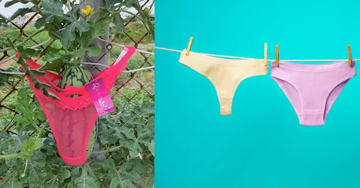 西瓜都著「性感喱士底褲」？背後竟藏科學學問！