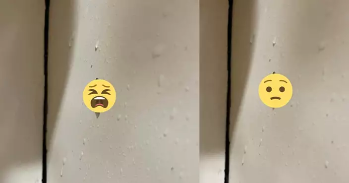 蟲出沒注意  沙田家中見「灰色怪蟲」求救　網民認出恐怖真身