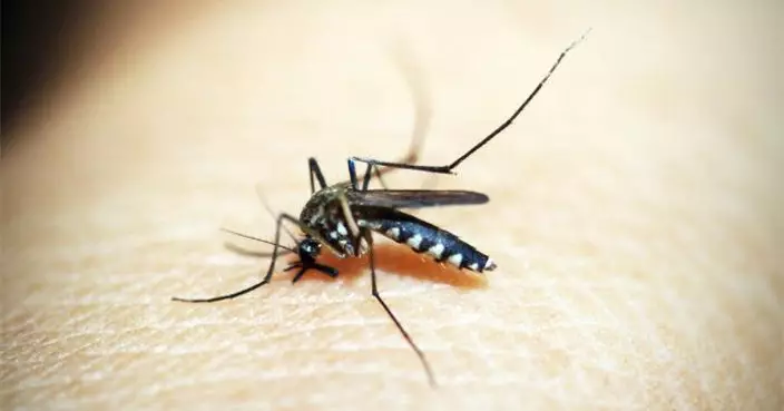 白紋伊蚊誘蚊器指數7月回落至較低水平
