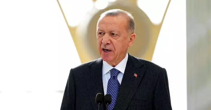 總統埃爾多安：希望普京月內訪問土耳其