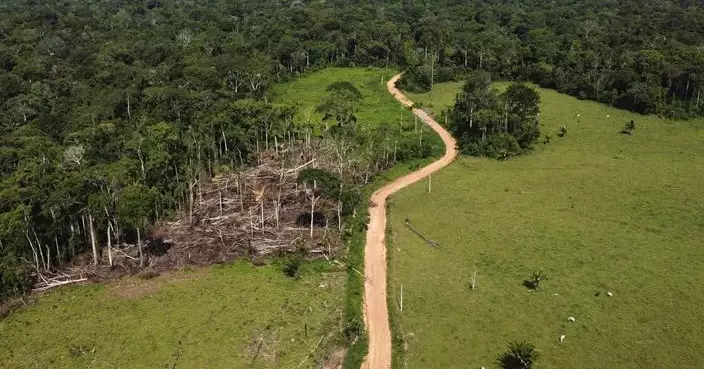 亞馬遜雨林國家領袖一連兩日舉行峰會 探討森林可持續發展