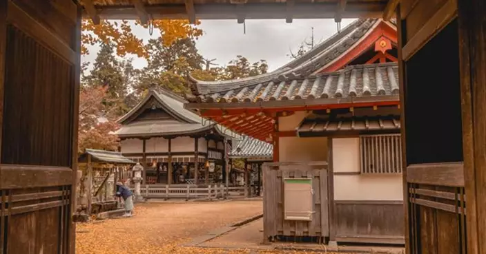 針對「觀光公害」  日本宮島10月開徵登島訪問稅