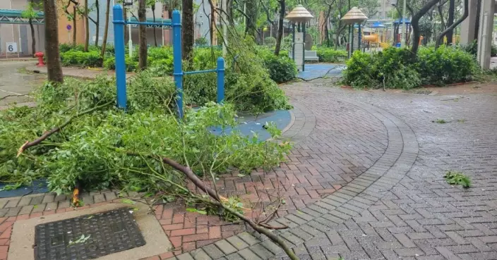 蘇拉相較山竹屬體積較小颱風　梁榮武指因此影響較細