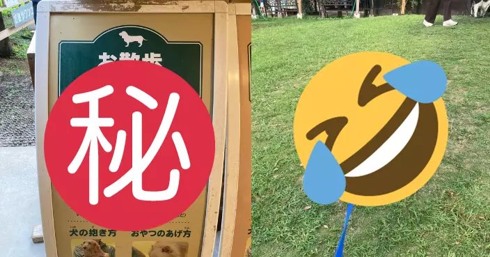 客人花37蚊租狗仔體驗遛狗卻遇「拒絕犬」 需做1事才肯動