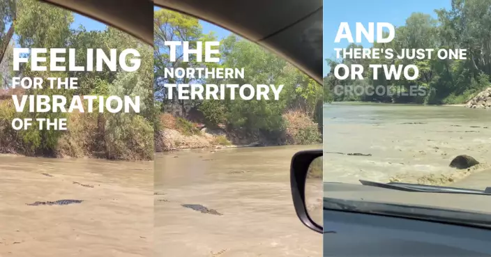 驚魂上班路！澳洲導遊攞命翻工 每日揸車穿越600只鱷魚