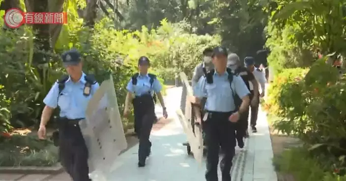 野豬闖動植物公園遭警圍捕逾2小時 漁護署施麻醉槍制服帶走