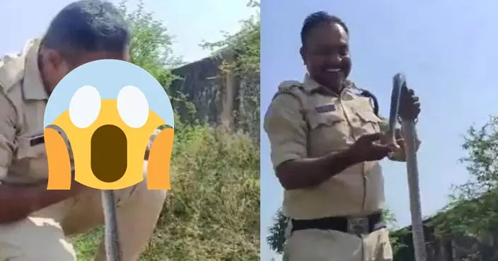 無毒蛇誤喝殺蟲劑昏迷 印度勇警施以口對口人工呼吸救返