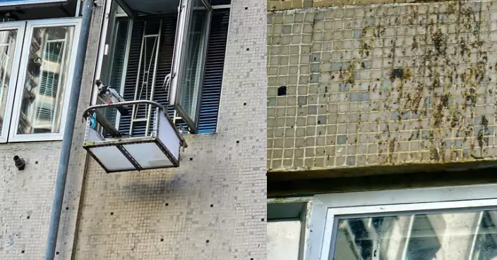 鳳德邨居民私建平台餵野鴿 鴿屎滿佈大廈牆身惹蟲患 鄰居叫苦連天