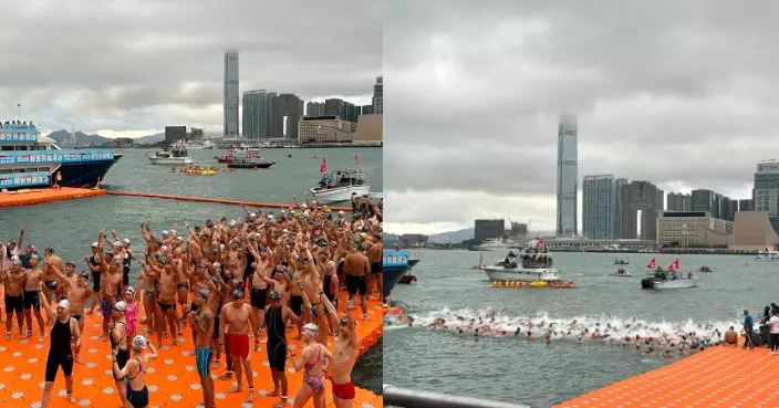 「新世界維港泳」周日早舉行  4000泳手劈波斬浪競逐殊榮