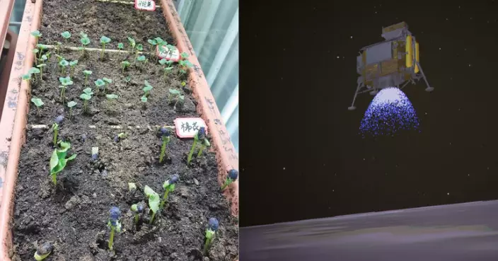 種上太空！月球種1植物成功發芽 邁出太空農業第一步