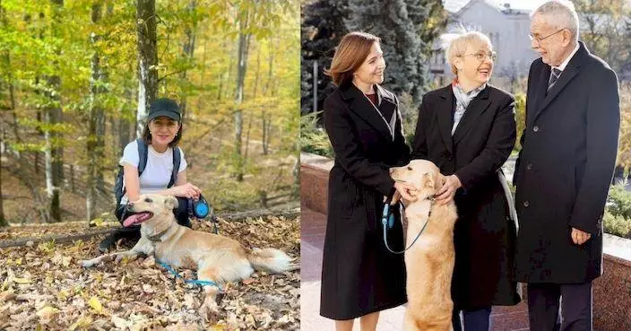摩爾多瓦「第一狗」破外教禮儀 竟咬來訪奧地利總統