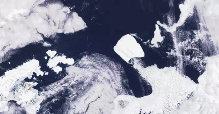 全球最大冰山30年來首見移動 專家：將擾亂航運影響生態