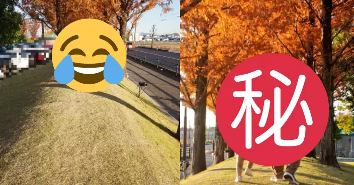 互影秋日照氛圍大不同 人妻見丈夫成品哭笑不得:似另一個季節!