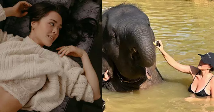 25歲張敏鈞盡得媽咪鍾麗緹優良基因  與大象在泥水中共浴盡曬逼爆上圍