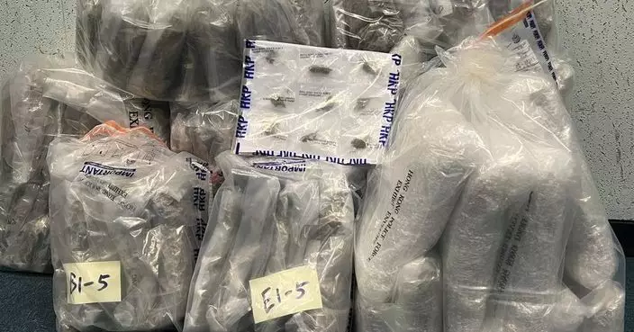 警方「捍衛者」反毒品行動 檢約42公斤大麻花拘兩男