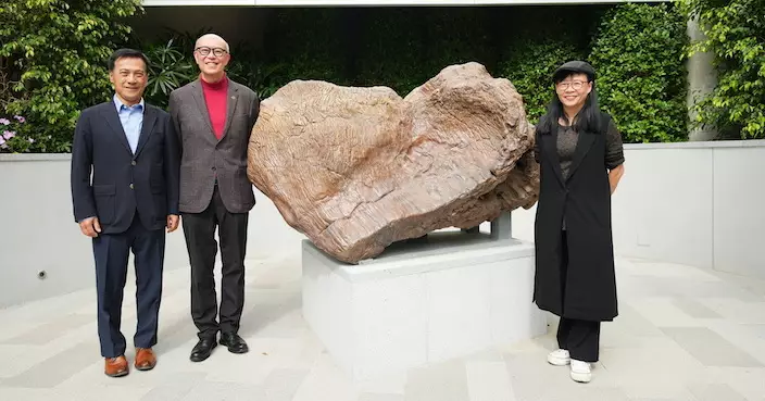 華懋「如心園」木化石公園首階段開放 免費入場