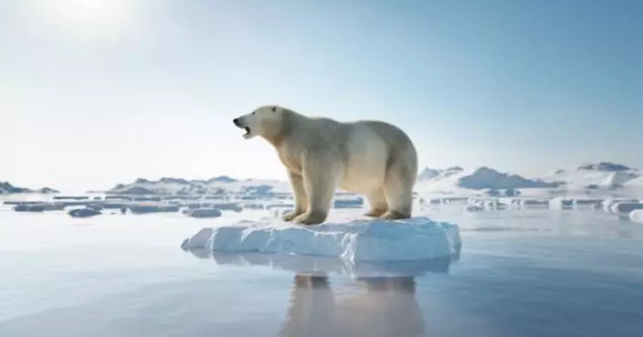 北極2023年現「最暖夏季」地表溫度6.4度 氣候變遷加速導致