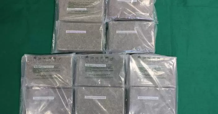 海關深圳灣管制站檢藏大麻花包裹 市值逾240萬於八鄉拘一男子