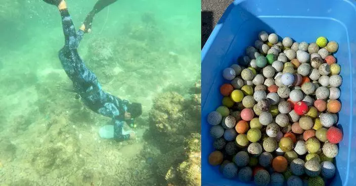 沖繩宮古島海底現五千多粒高爾夫球 恐釋毒危害海洋生態