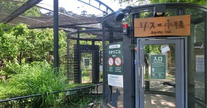 東京公園31隻松鼠集體暴斃 疑「殺蟲劑」過量釀禍