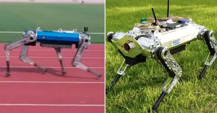 南韓研製機械狗19秒跑完100米 刷新健力士世界紀錄
