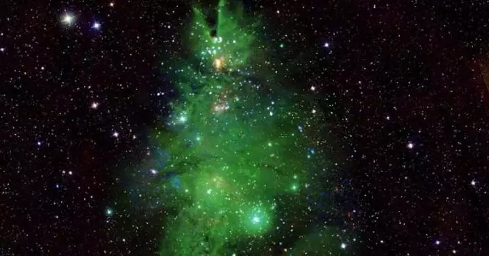 NASA分享銀河系恆星圖像 「聖誕樹星團」照亮太空