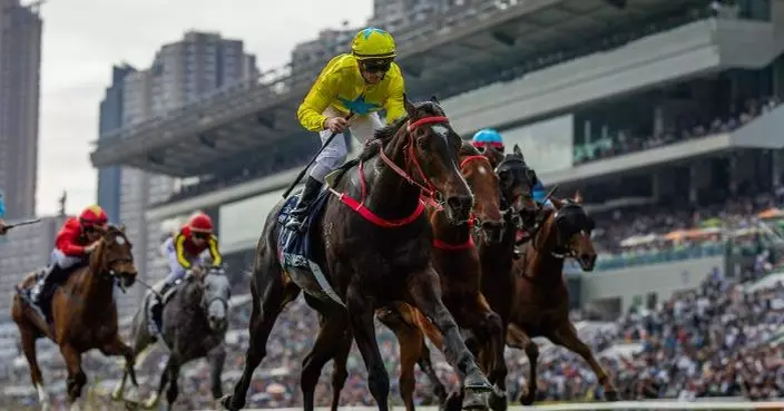 「金鎗六十」「金鑽貴人」高踞2023浪琴世界最佳馬匹年終排名十大